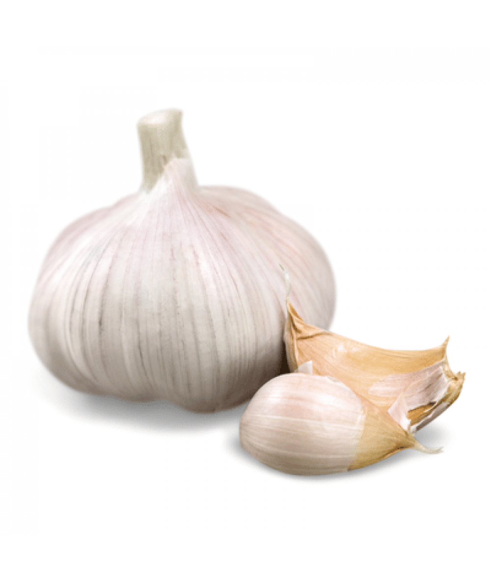 BAWANG PUTIH (KG)