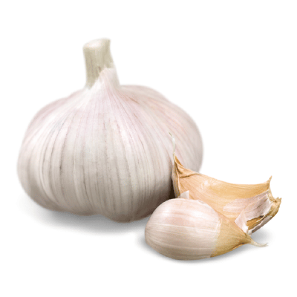 BAWANG PUTIH (KG)
