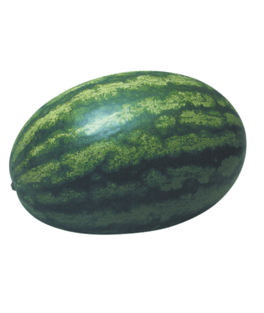 WATER MELON (TAIWAN) (KG)