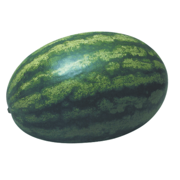 WATER MELON (TAIWAN) (KG)