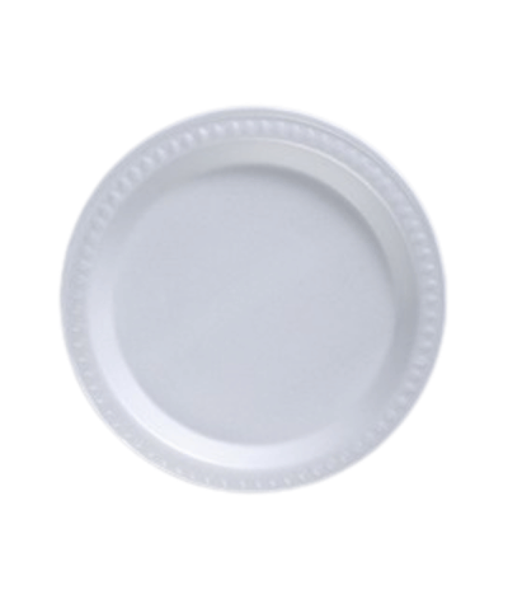 CH POLYFOAM PLATE 100'S 9