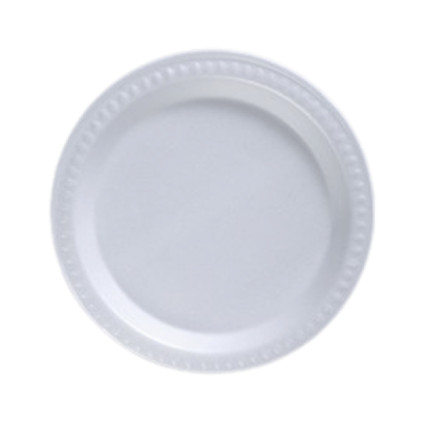 CH POLYFOAM PLATE 100'S 9