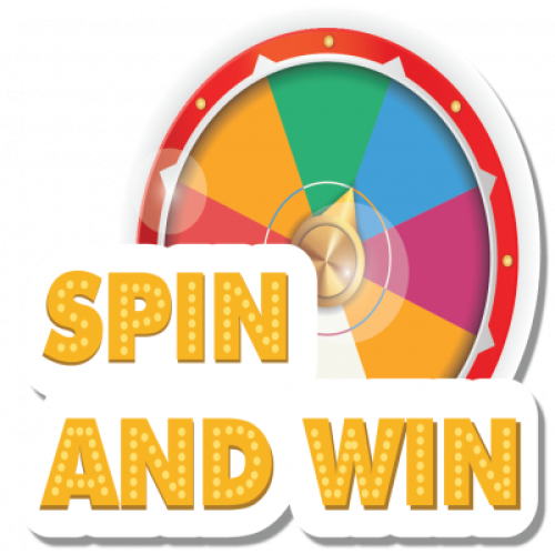 CARLSBERG CAN 320ML *1