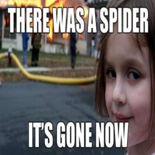 LACTOGEN 1 BIB 20 350G