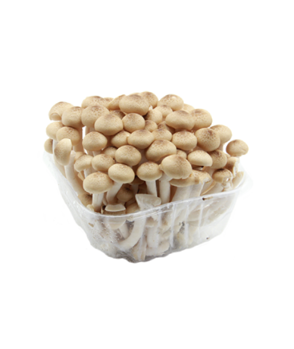 Buno Shiimeji Mushroom 150g 脕茅脰楼鹿陆