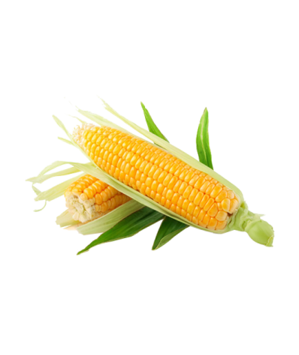 Sweet Corn 2's -Unit 玉蜀黍