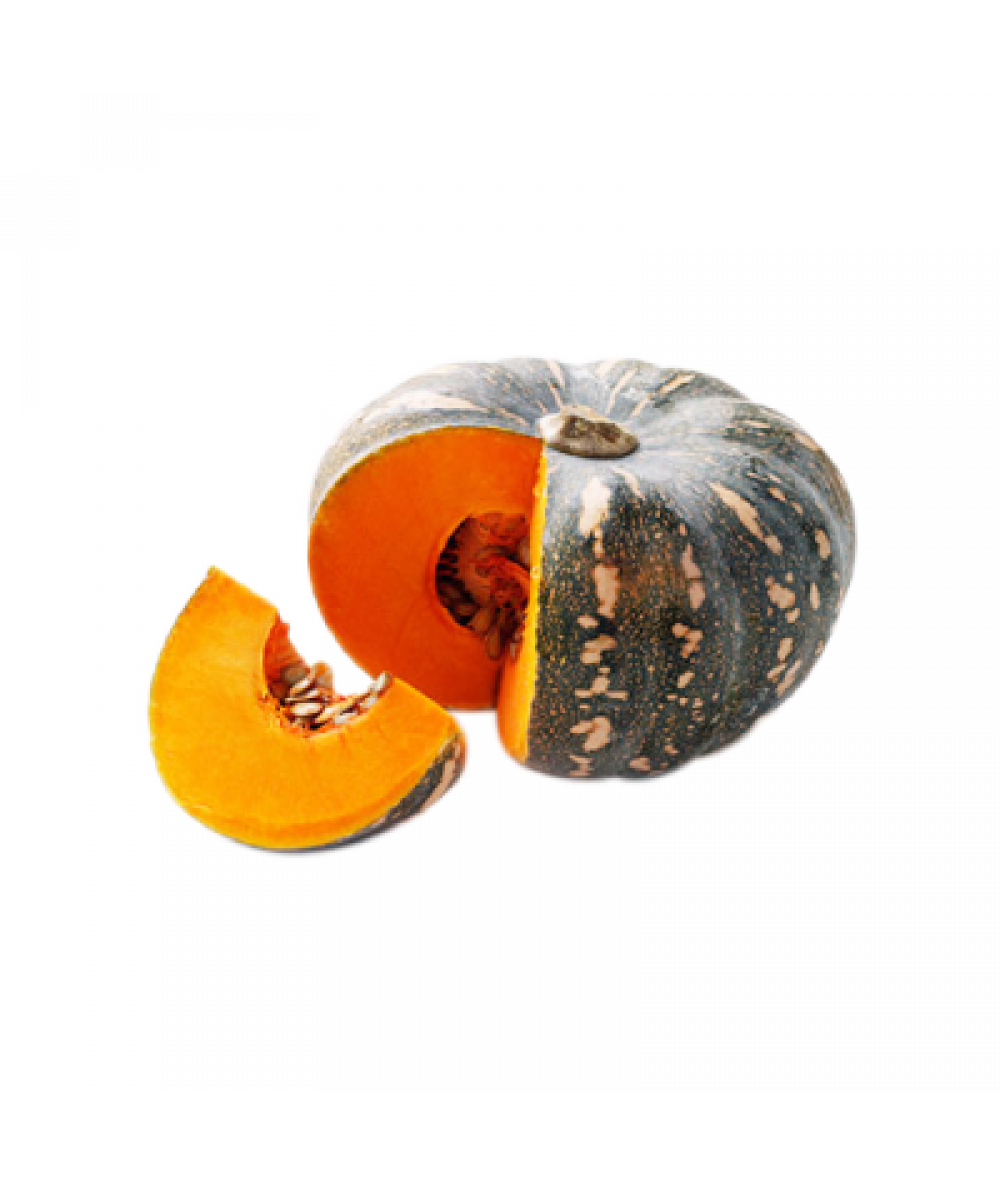 PP Pumpkin 480g+/-
