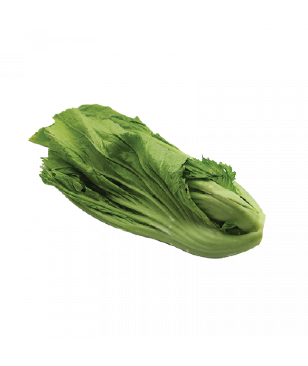 PP Mustard Leaf 280g+/-