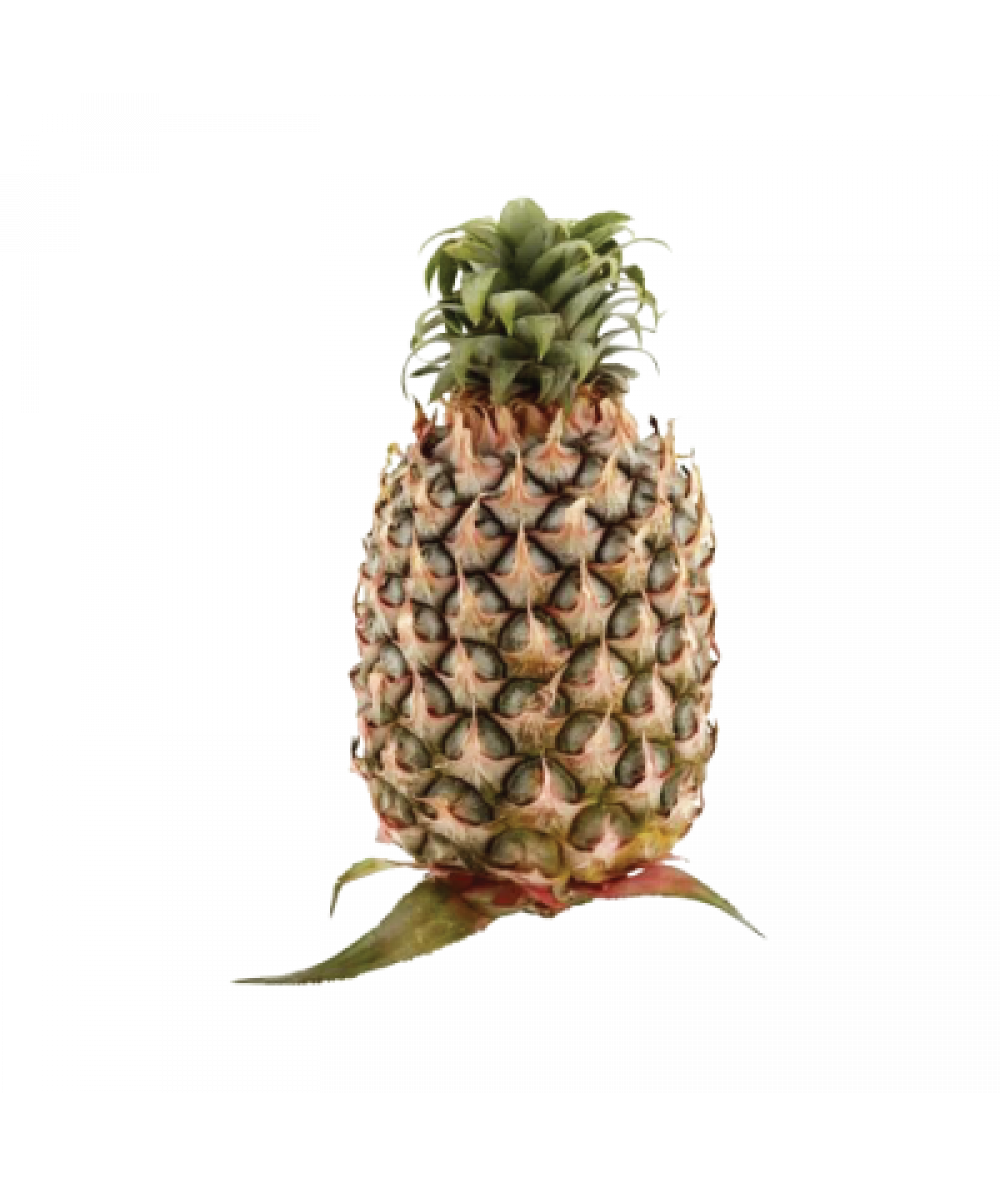 Pineapple Josa-unit