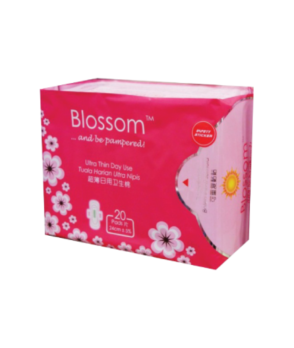 Blossom Day Use Ultra Thin Wing 20s 